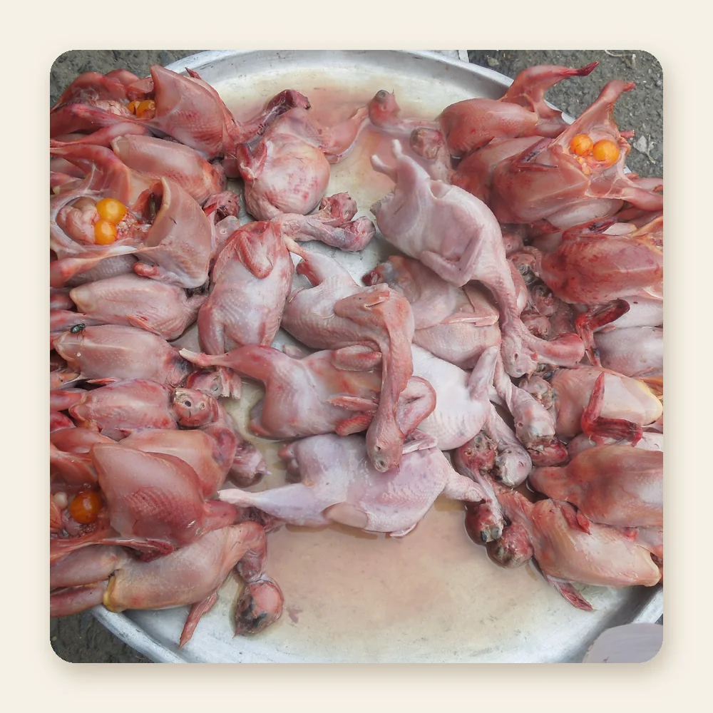 Frozen Quails (4 pcs)
