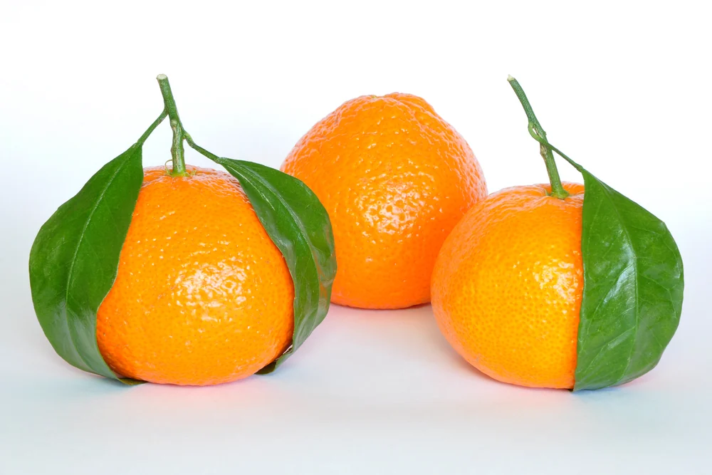 Mandarins (Box)