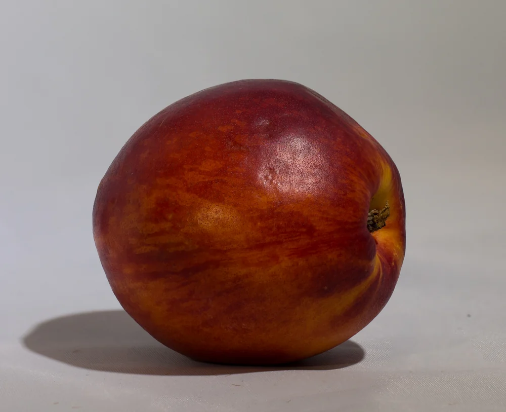 Nectarines