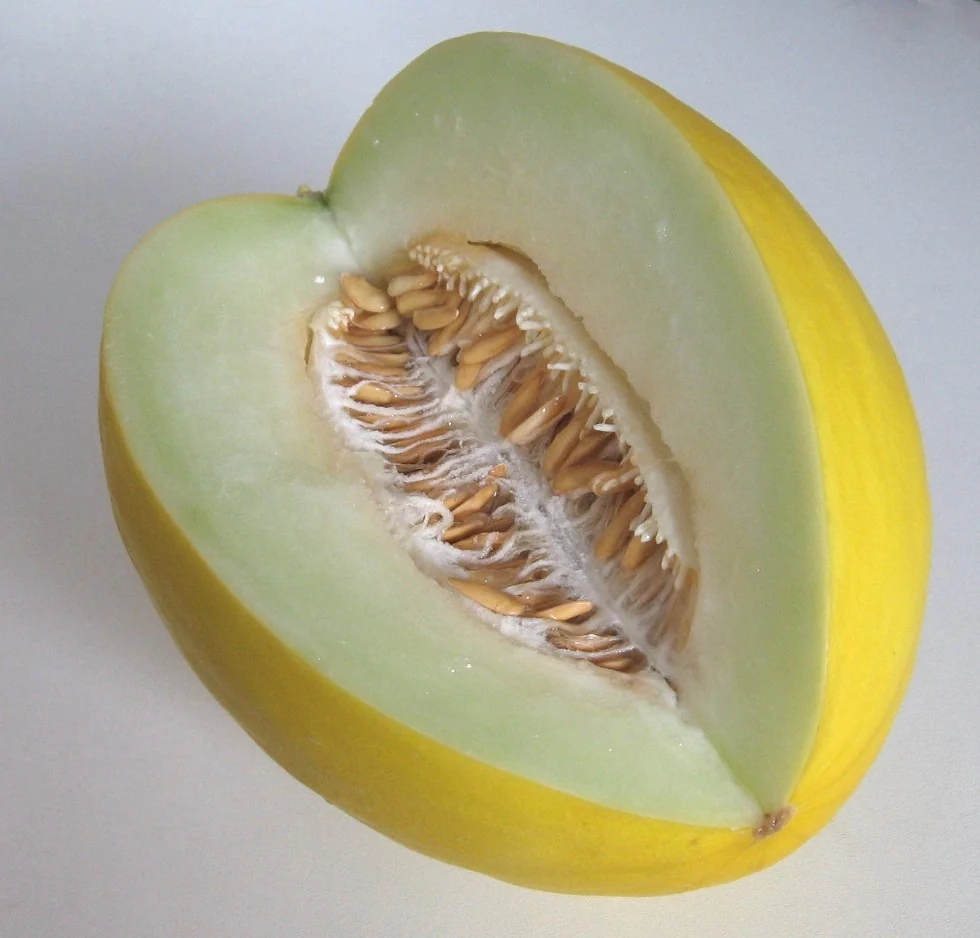 Yellow Melon (Box)