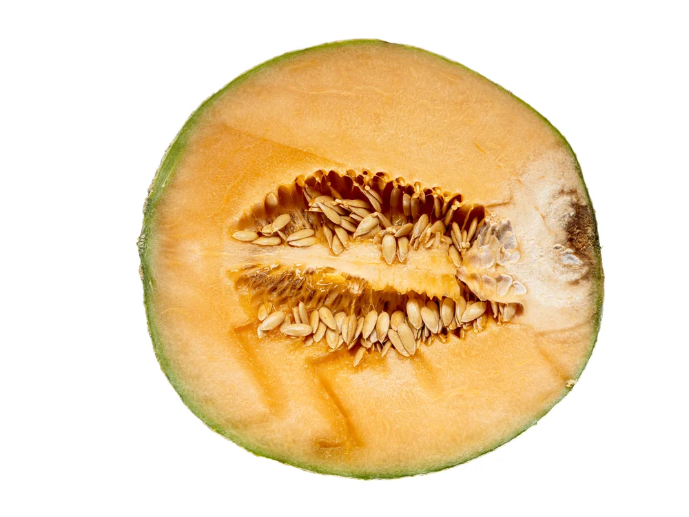 Turkish Melon