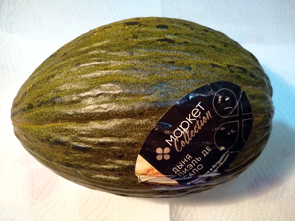 Piel de Sapo Melon