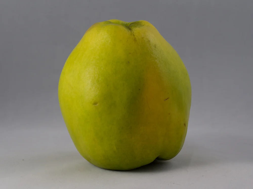 Quinces