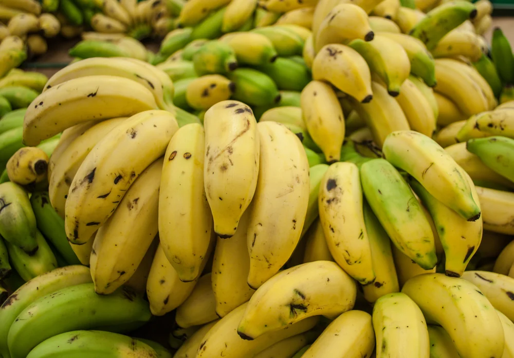 Turbana Bananas
