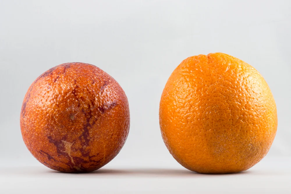 Blood Oranges