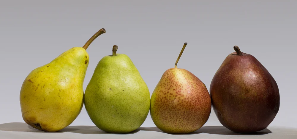 Conference Pears