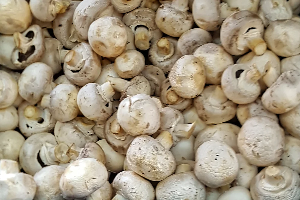 White Mushrooms Tray