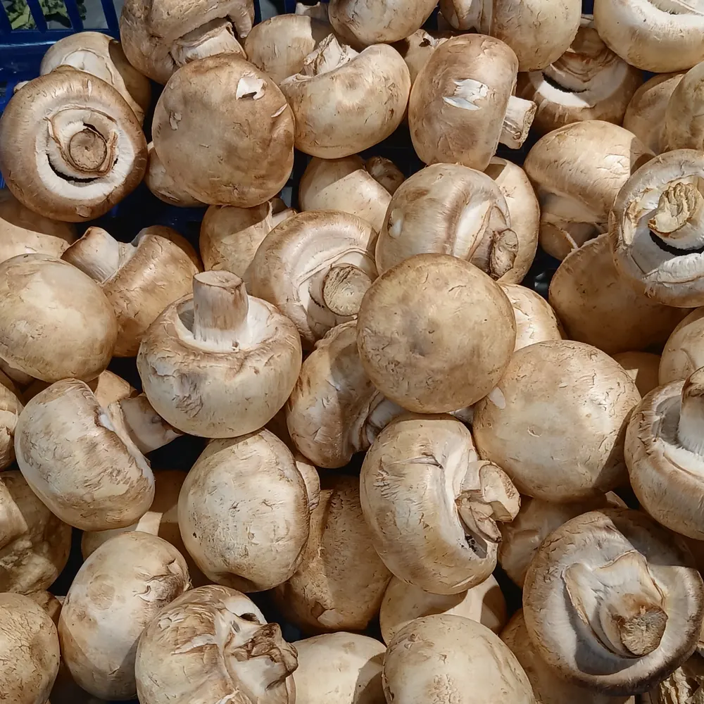 Chestnut Mushrooms 500g