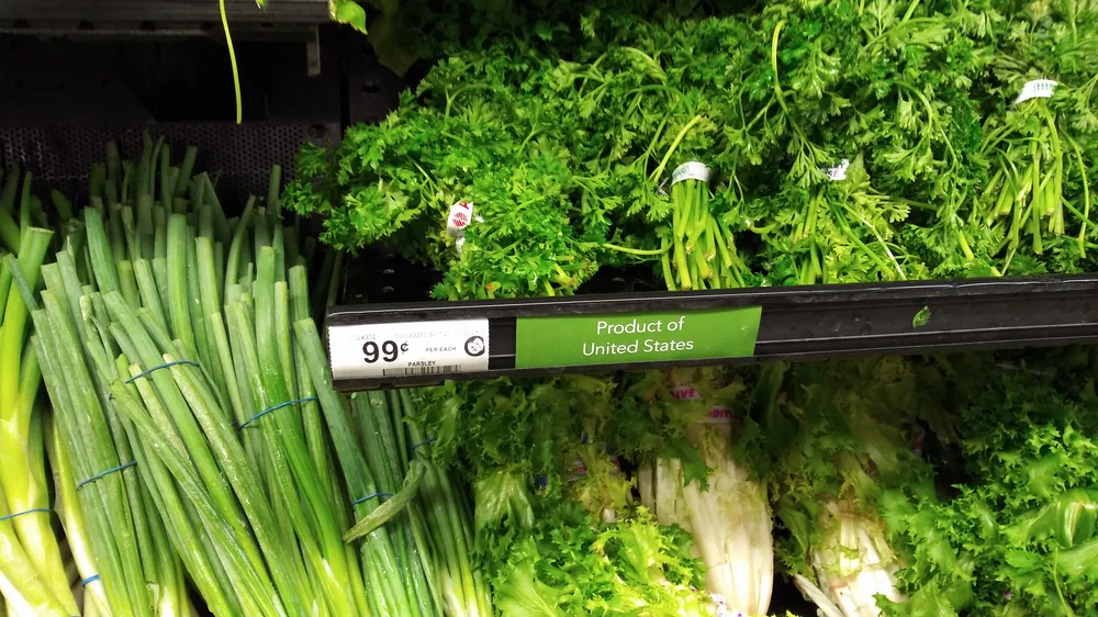 Flat-Leaf Parsley