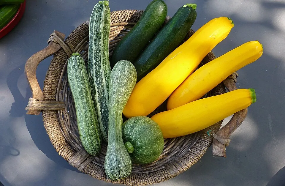 Courgette (Dutch Export)