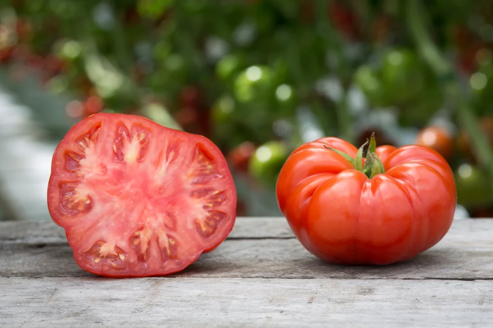 Beefsteak Tomatoes