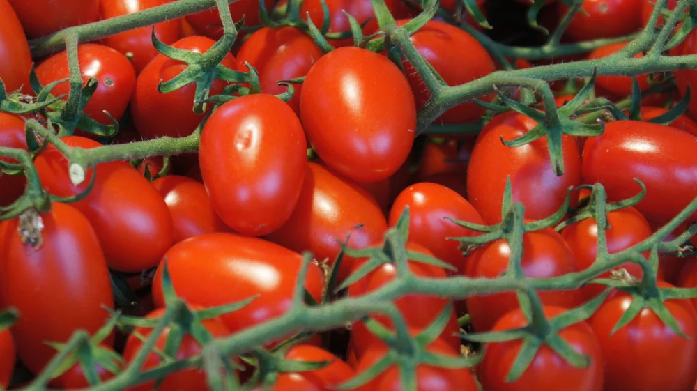 Vine Tomatoes (Box)