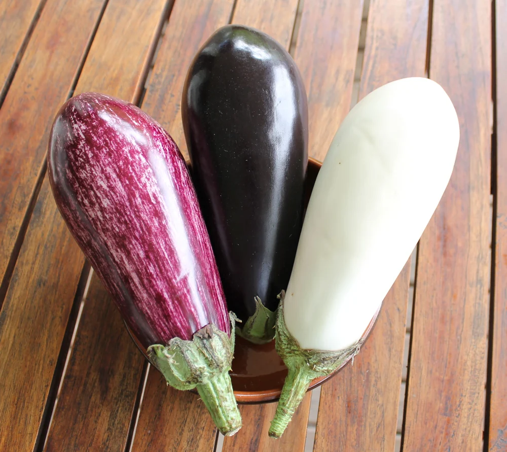 Yamula Turkish Aubergine