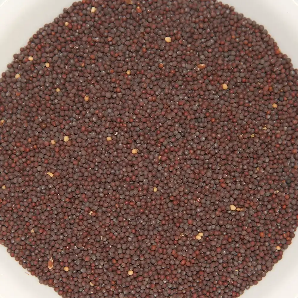 TRS Brown Mustard Seeds 400g