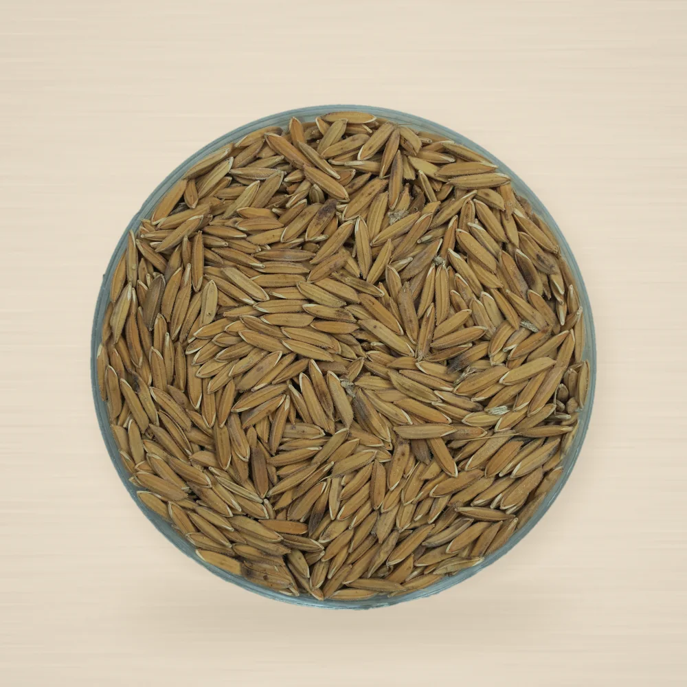 Sawi Pandan Rice 1kg
