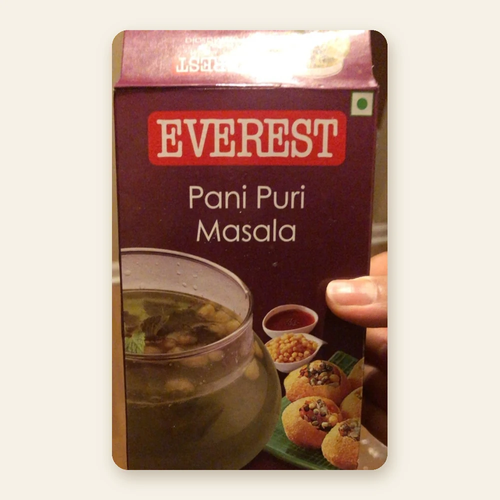 Everest Pani Puri Masala 100g