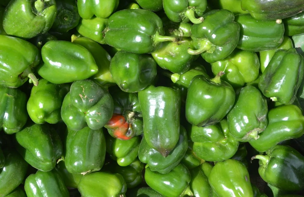 Turkish Peppers